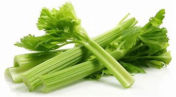 Organic Celery from Panzer's