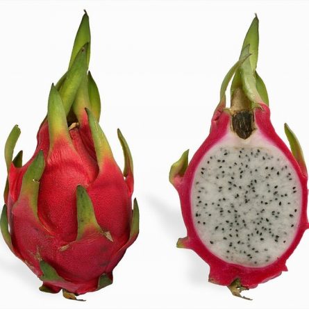 Exotic Dragon Fruit from Panzer's