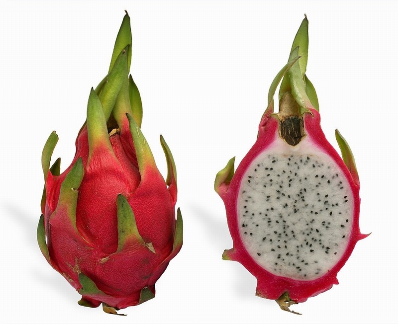Exotic Dragon Fruit from Panzer's