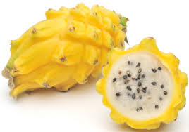 Pitaya Exotic Fruit from Panzer's
