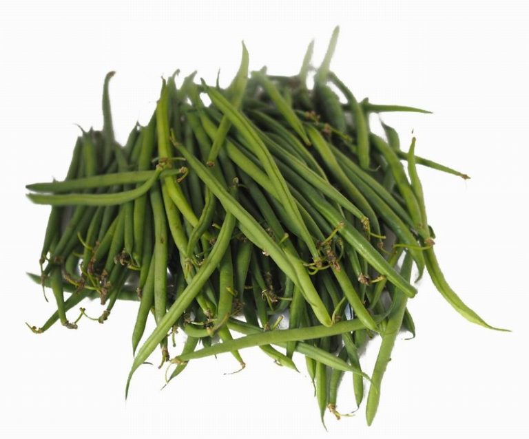 Extra Fine Beans Heap Close on a White Background