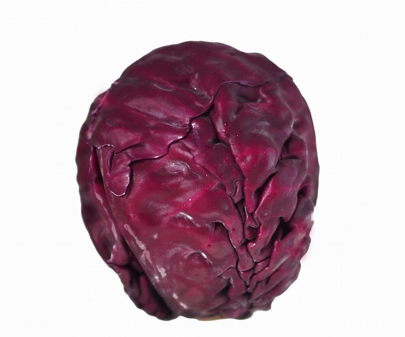 Head of Red Cabbage on a White Background from Panzer's