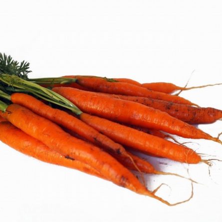 Bunch of Carrots from Panzer's