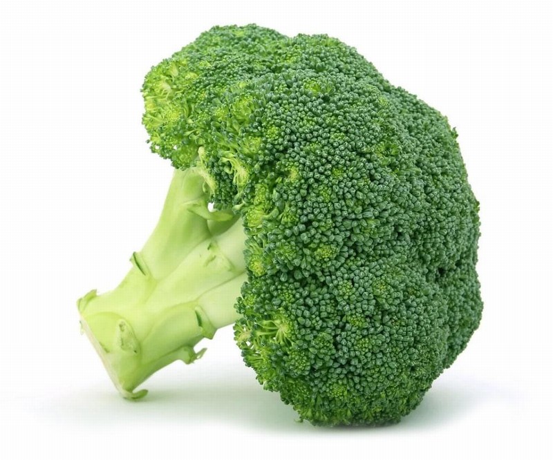 Head of Broccoli Florets from Panzer's