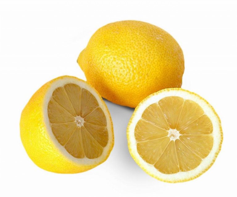 Lemon from Panzer's