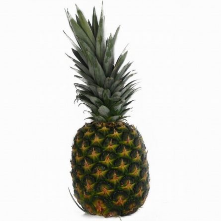 Large Pineapple from Panzer's