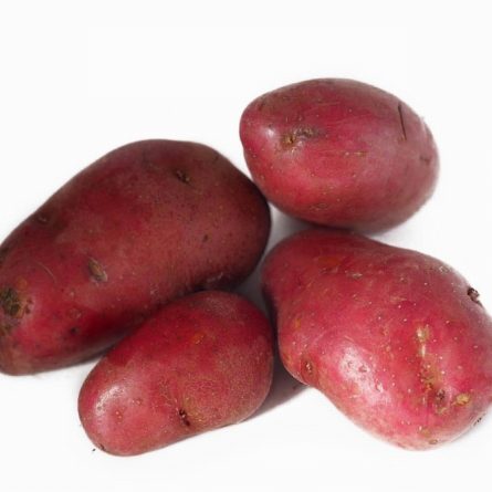 Loose Desire Red Potatoes from Panzer's