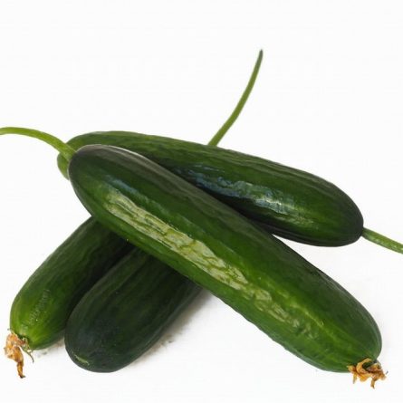 Baby Cucumbers from Panzer's