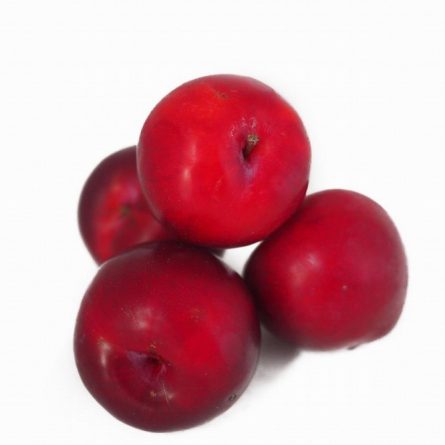 Fresh Red Plum from Panzer's