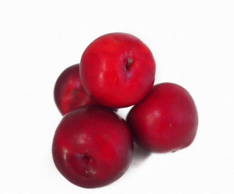 Fresh Red Plum from Panzer's