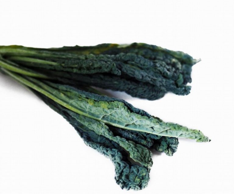 Bunch of Cavolo Nero from Panzer's