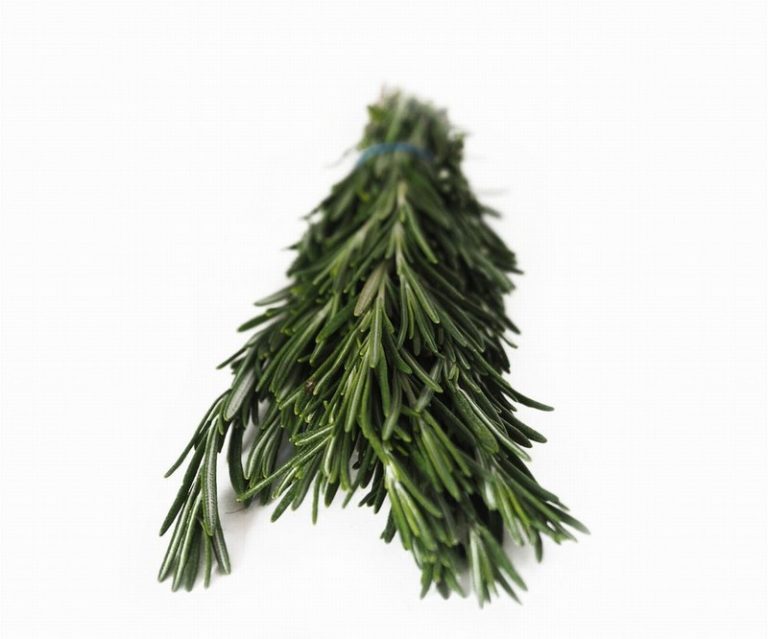 Bunch of Rosemary from Panzer's