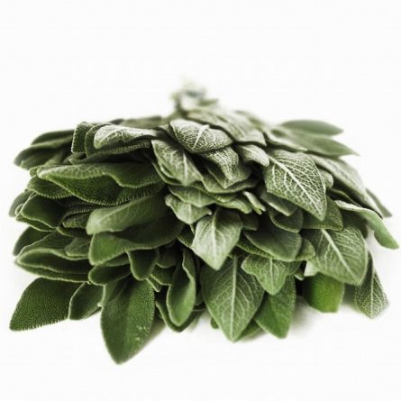 Bunch of Fresh Sage from Panzer's