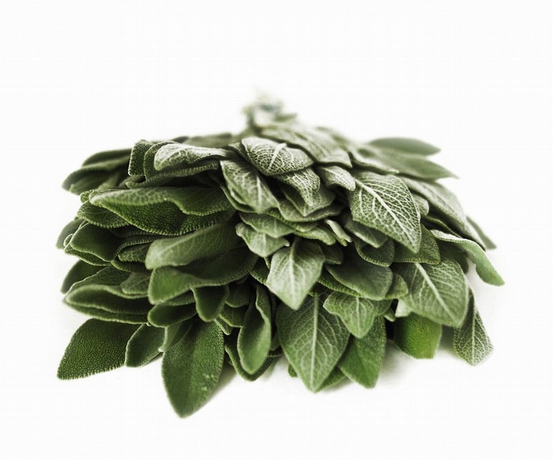 Bunch of Fresh Sage from Panzer's