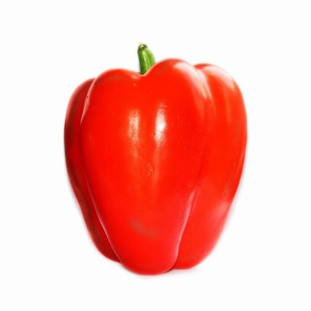 Single Red Cap Pepper from Panzer's