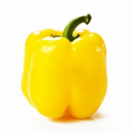Single Yellow Cap Pepper from Panzer's
