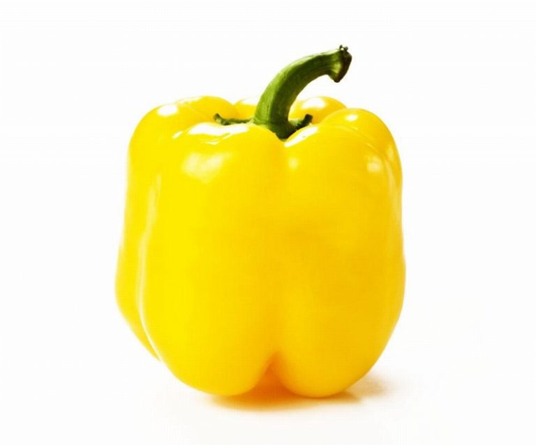 Single Yellow Cap Pepper from Panzer's