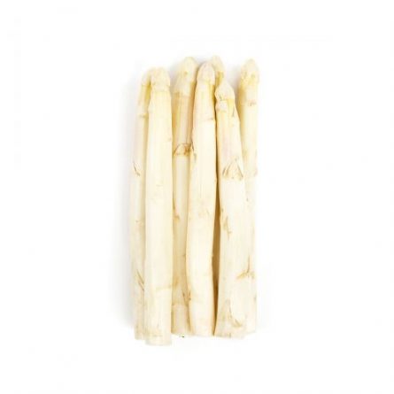 Bunch of White Asparagus from Panzer's