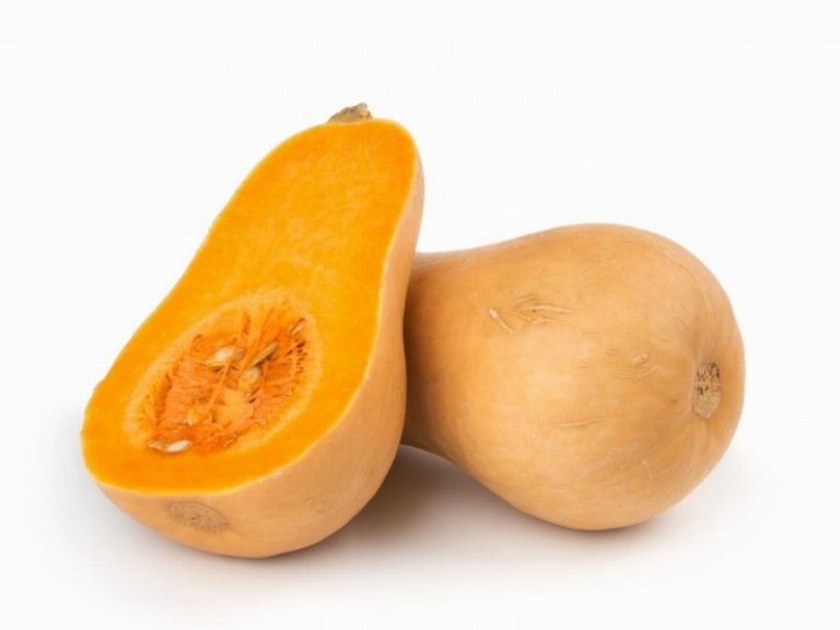 Butternut Squash from Panzer's
