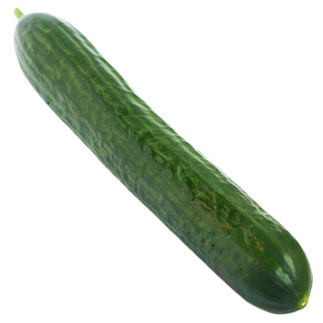 Single Organic Cucumber from Panzer's Large