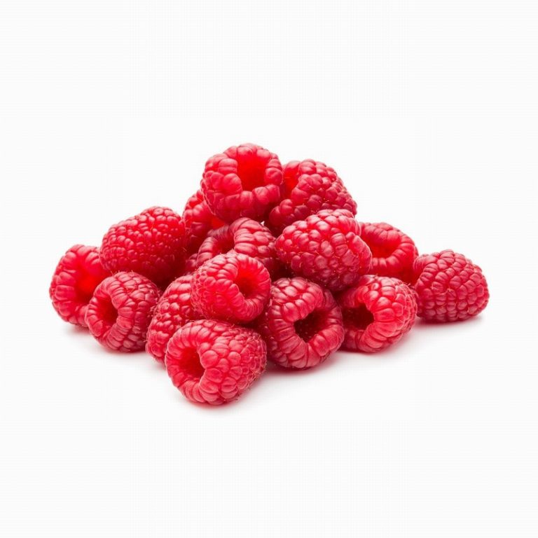 Pack of Raspberries from Panzer's