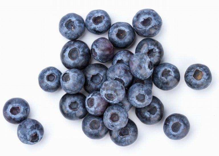 Pack of Fresh Blueberries from Panzer's