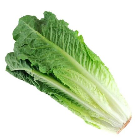 Single Cos Lettuce from Panzer's