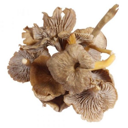 Loose Chanterelle Mushrooms from Panzer's