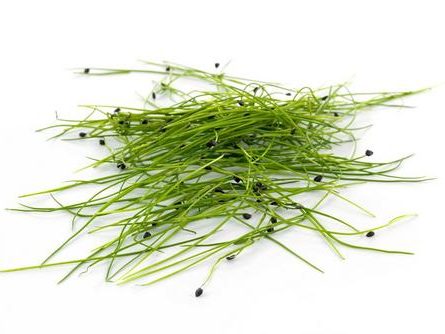 Bunch of Garlic Chives Micro Herbs from Panzer's