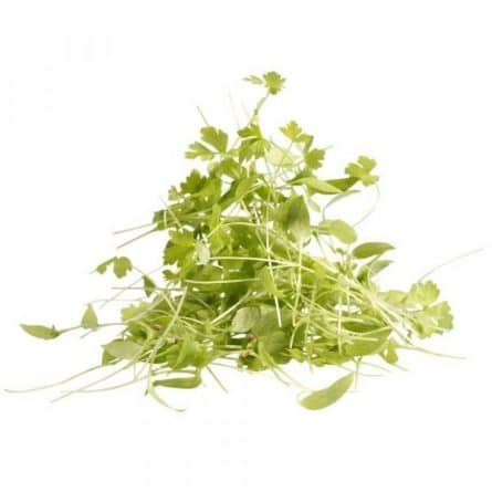 Bunch of Parsley Micro Herbs from Panzer's