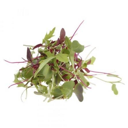 Bunch of Mixed Micro Herbs from Panzer's