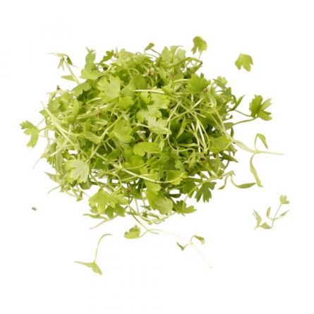 Bunch of Celery Micro Herbs from Panzer's
