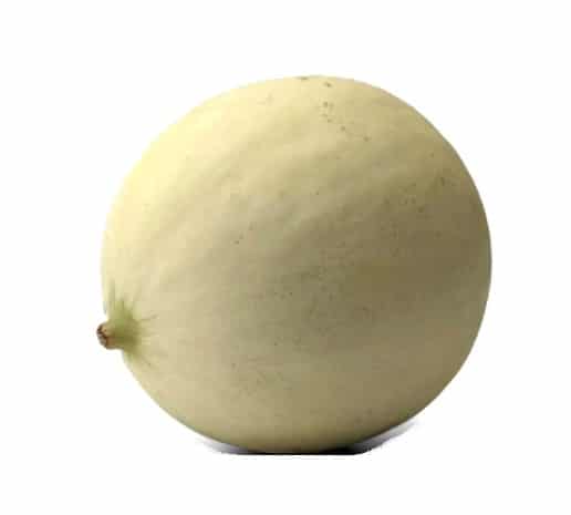 Canteline Melon from Panzer's