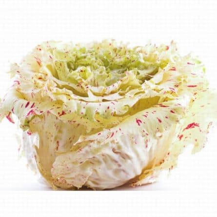 Head of Castelfranco Salad from Panzer's