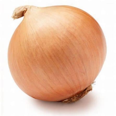 Single Spanish Onion from Panzer's