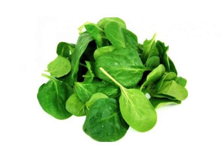 Bunch of Organic Green Spinach from Panzer's