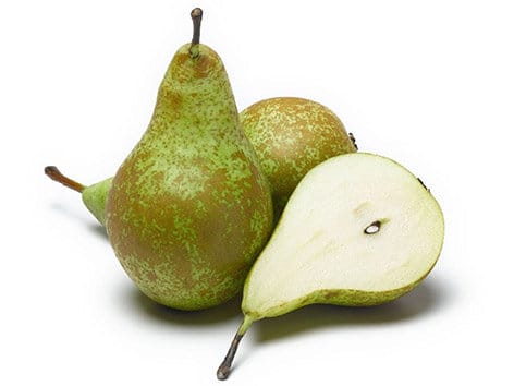 French Conference Pear from Panzer's