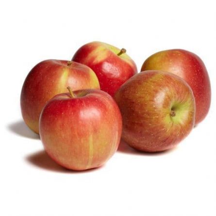 Cox Apples from Panzer's