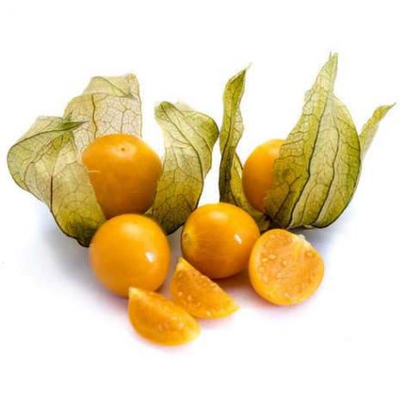 Physalis Exotic Fruits from Panzer's