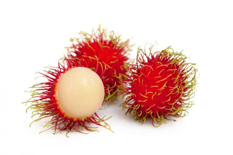 Pack of Rambutan Exotic Fruit from Panzer's
