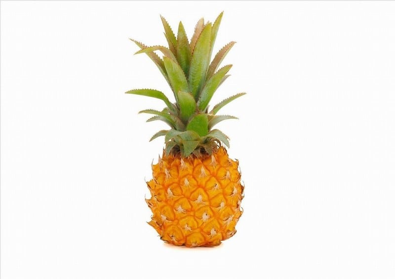 Baby Pineapple from Panzer's