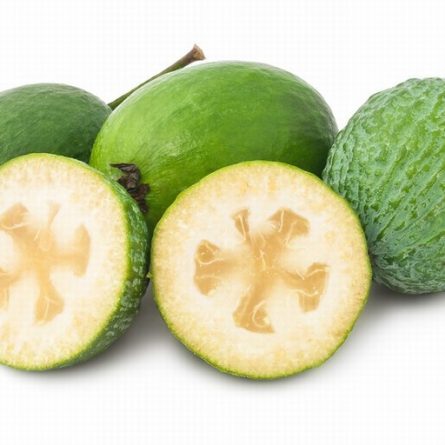 Exotic Feijoa Fruit from Panzer's
