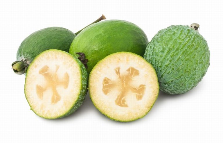 Exotic Feijoa Fruit from Panzer's