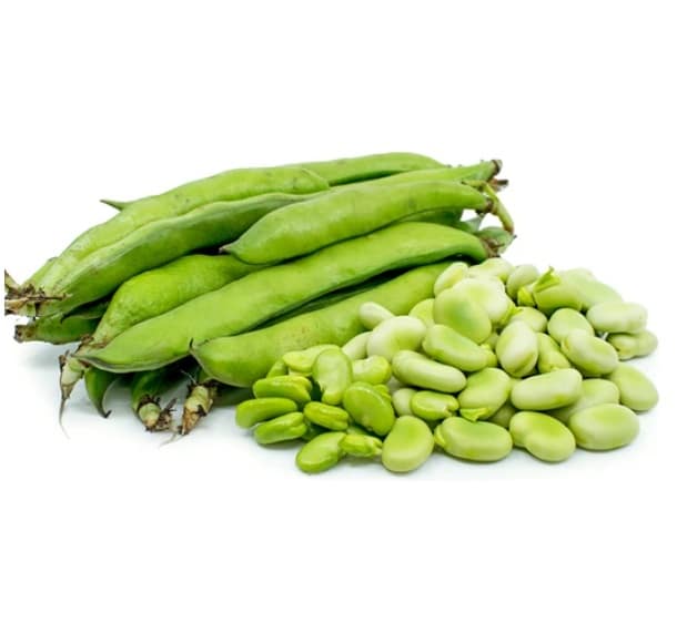 Heap of Broad Beans from Panzer's