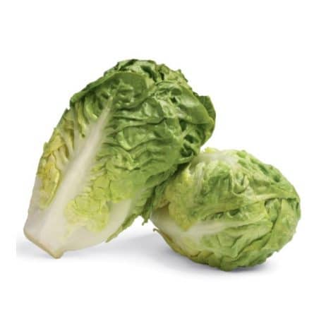 Two Gem Lettuce in a pack from Panzer's