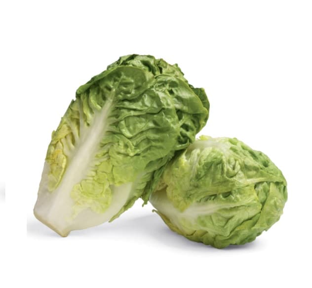 Two Gem Lettuce in a pack from Panzer's