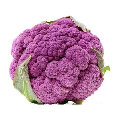 Head of Purple Cauliflower from Panzer's