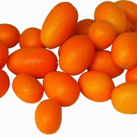 Kumquats from Panzer's