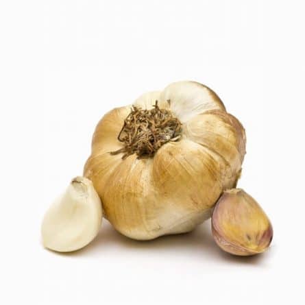 Head of Smoked Garlic from Panzer's