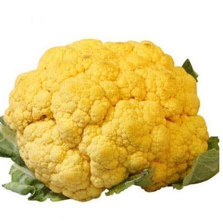 Head of Yellow Cauliflower from Panzer's